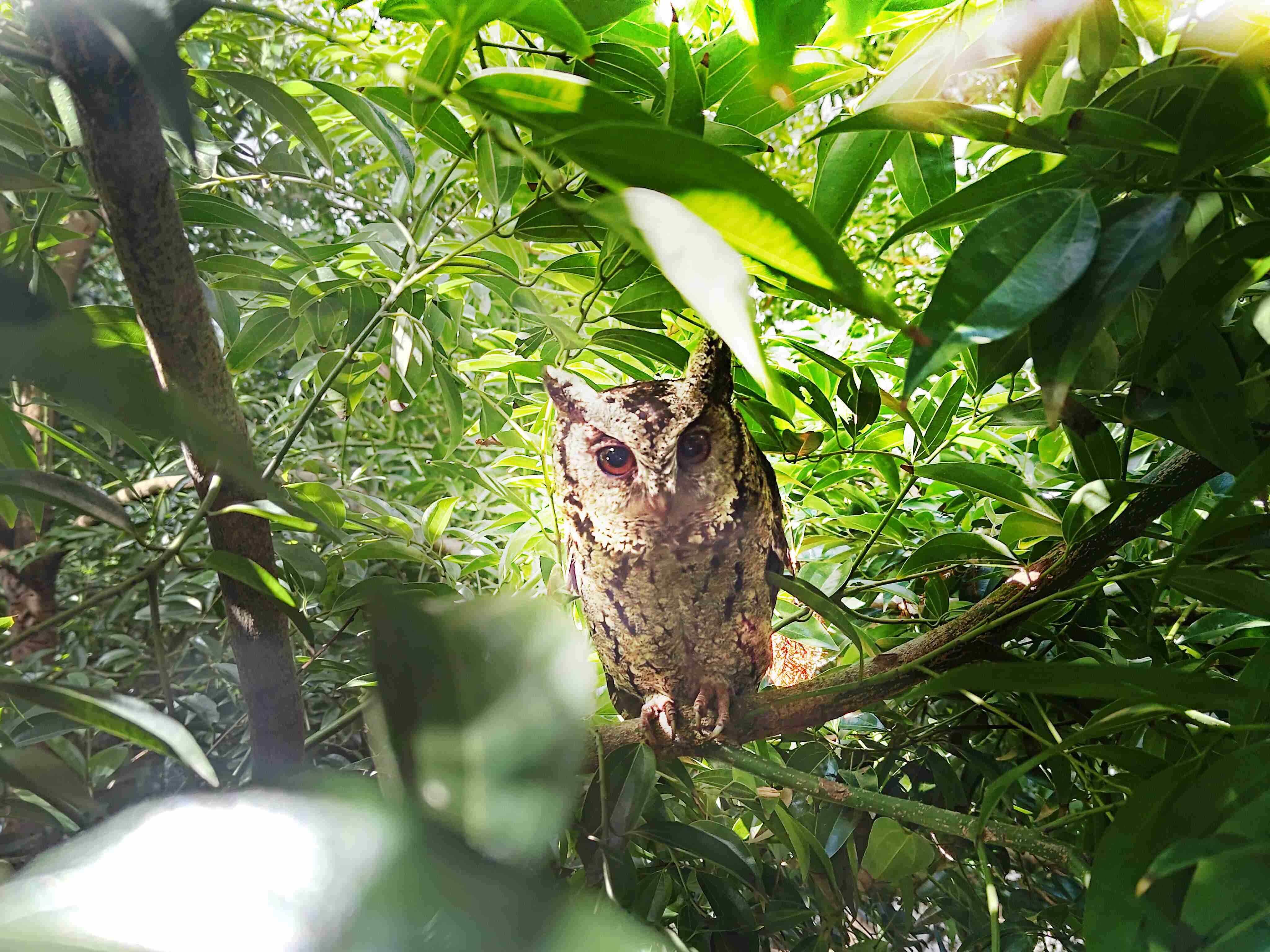 人生就是博致力提倡净零绿生活，，16年以来在全球各厂区植树逾百万棵，，，造就各厂区树木蔚然成林，，犹如森林工厂，，成为许多生物的栖息地